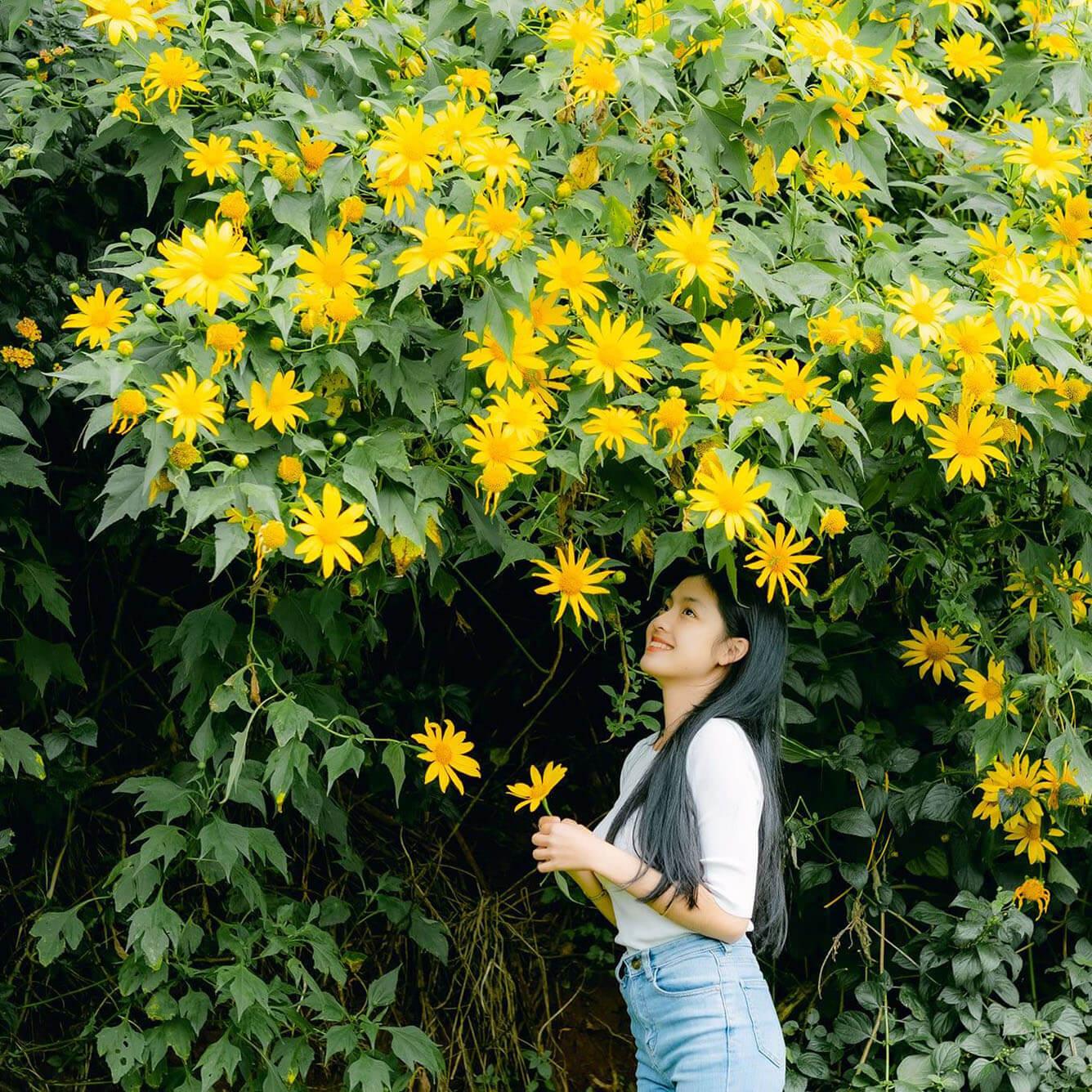 3 xu hướng du lịch Đà Lạt và những gợi ý không thể chất hơn(6)