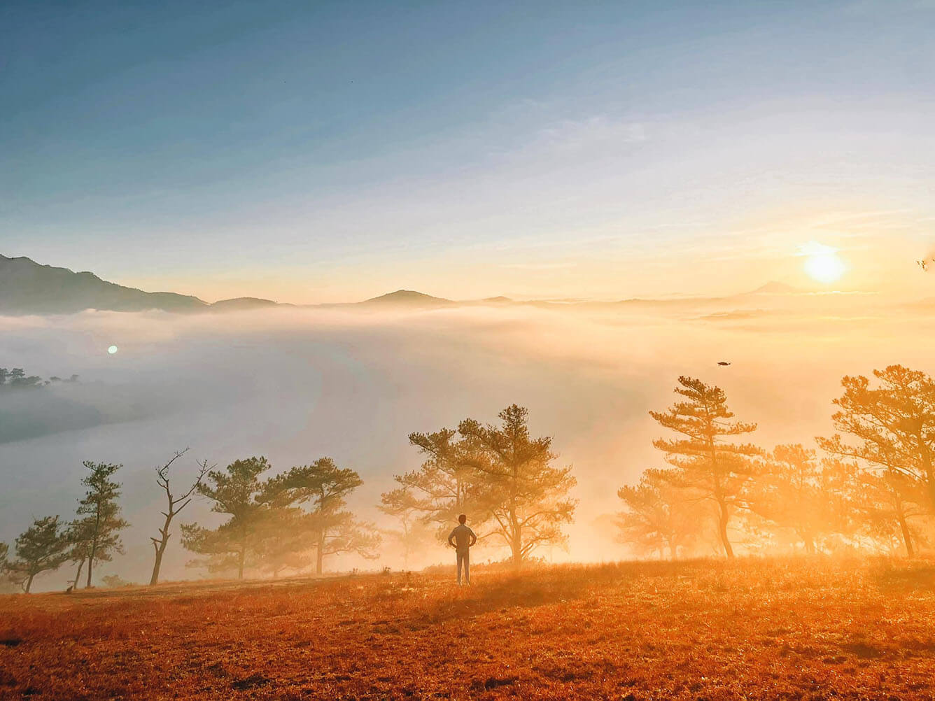 3 xu hướng du lịch Đà Lạt và những gợi ý không thể chất hơn(7)