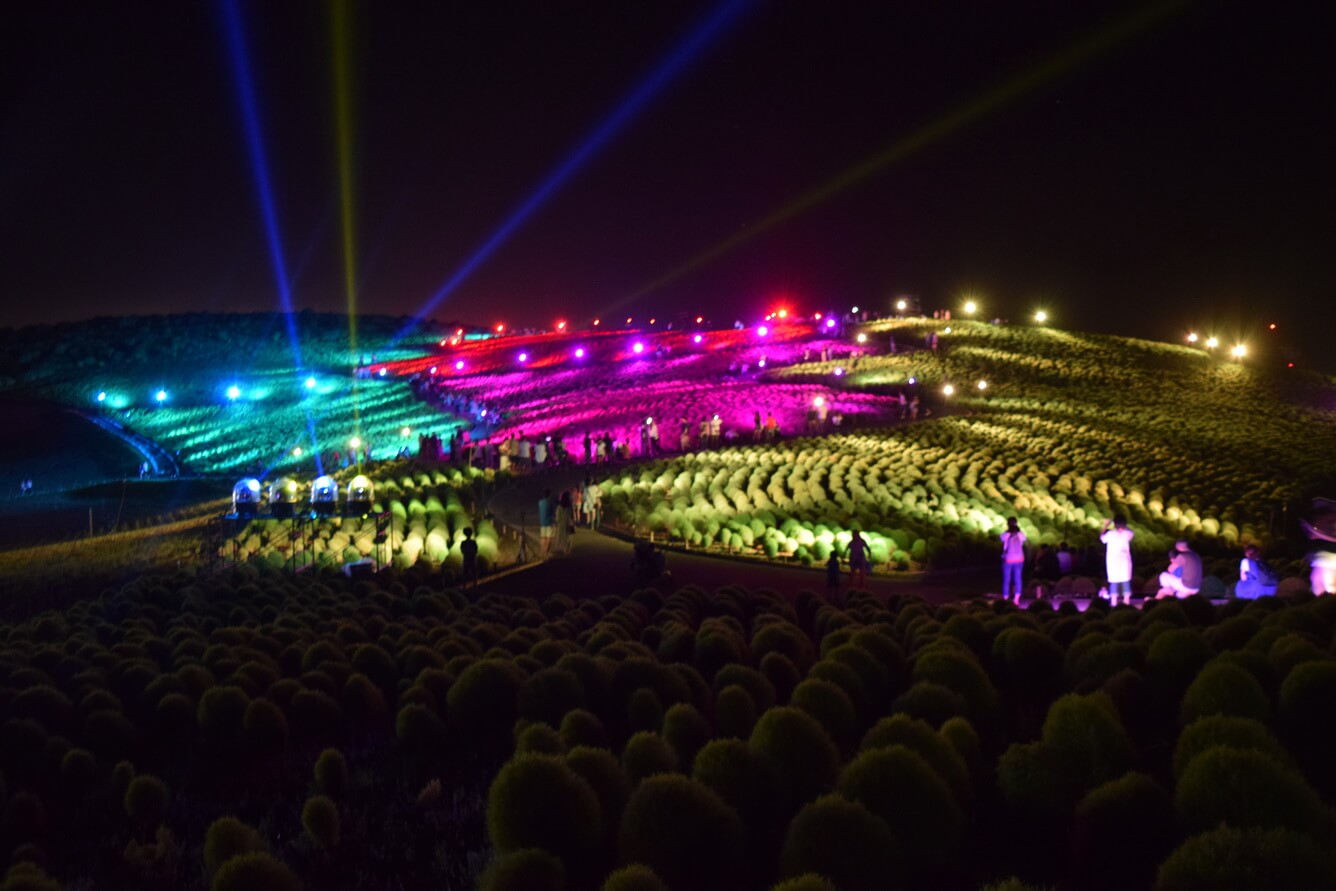 Khám phá những bông hoa tại Ibaraki tô điểm cho mùa hè Nhật Bản(1)