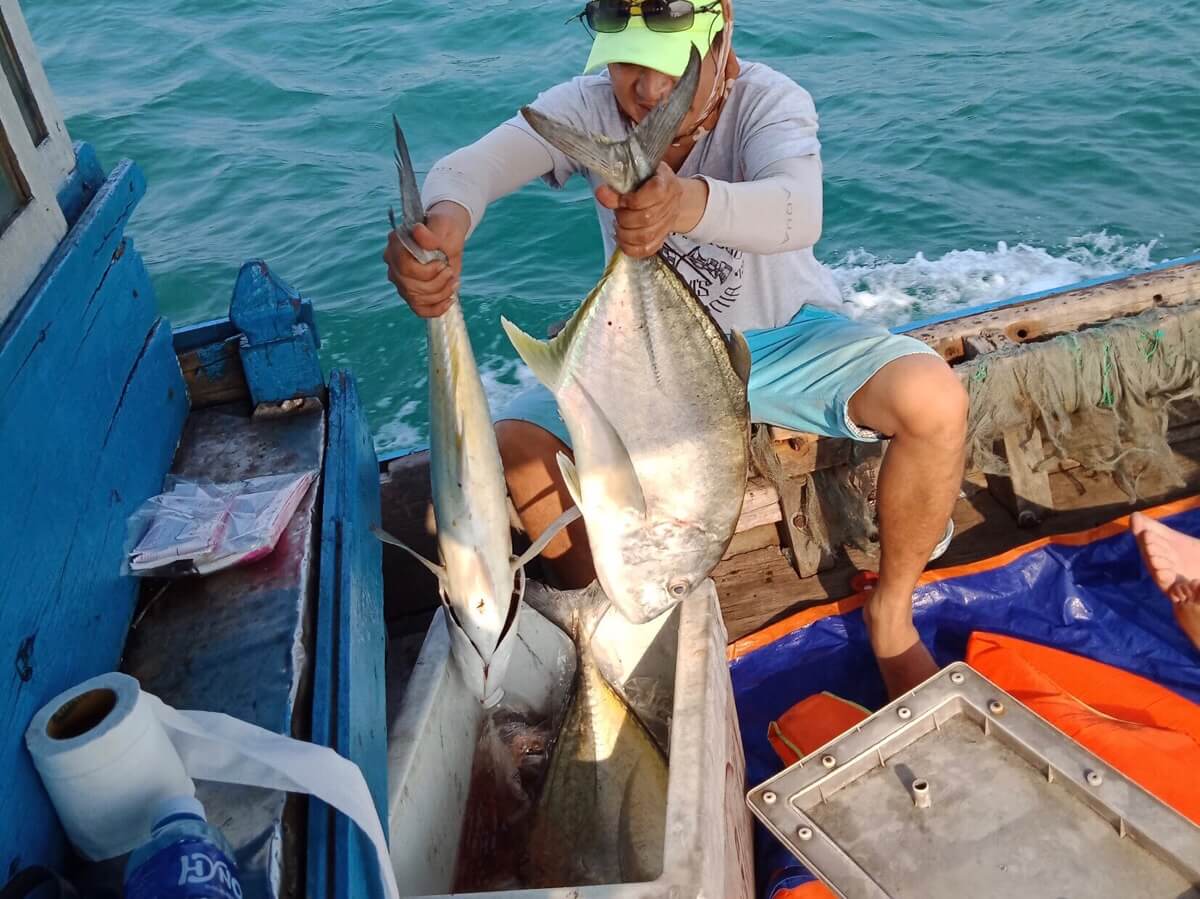 Làm ngư dân tại thiên đường biển(2)