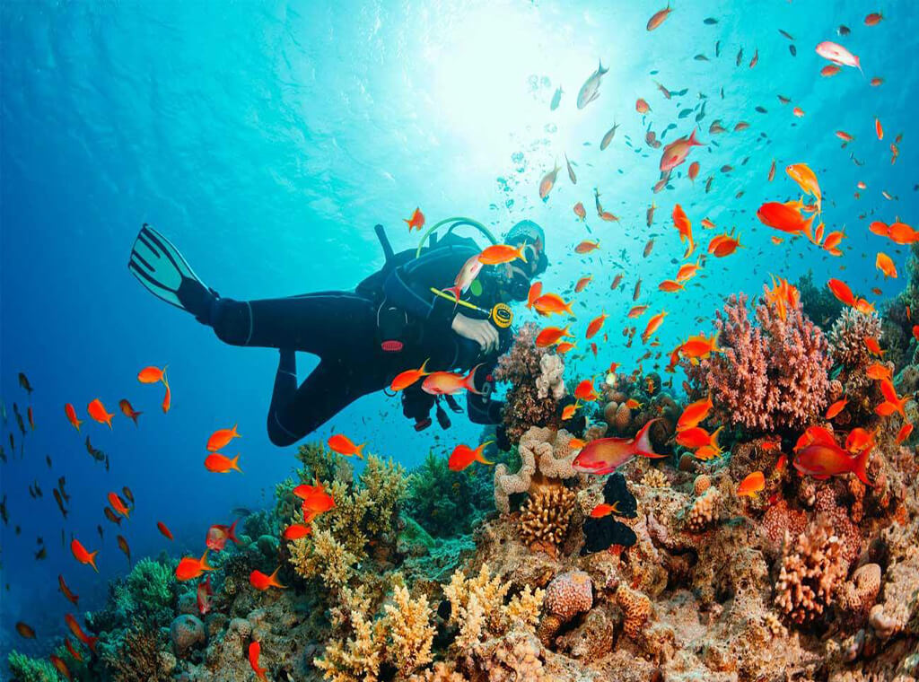 Làm ngư dân tại thiên đường biển(2)