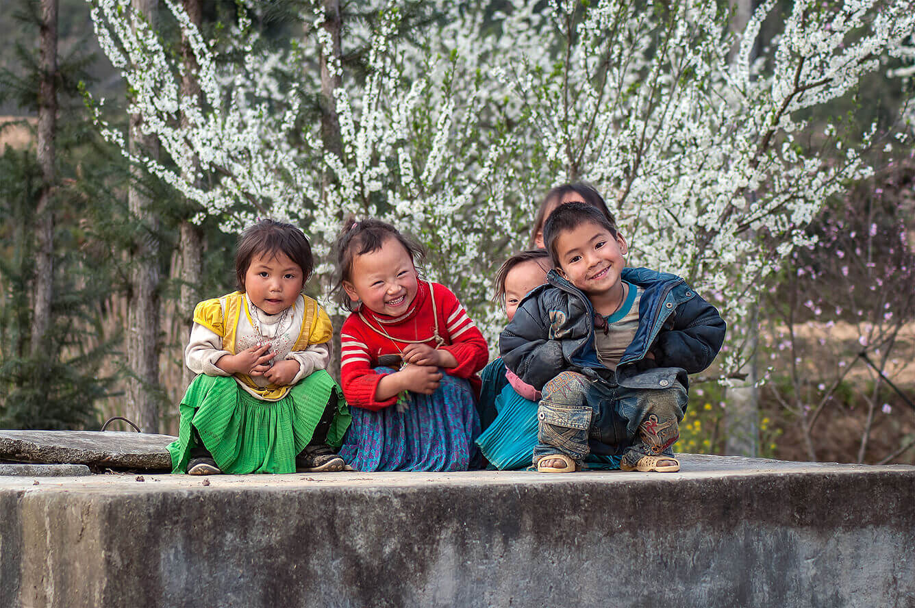 Mộc Châu: Xuân về hoa nở(2)