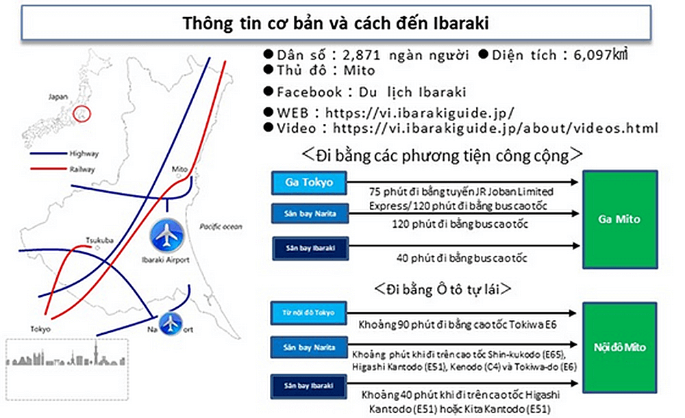 Từ hoa anh đào cho đến Nemophila, mùa xuân ở Ibaraki là mùa của các loại hoa(1)