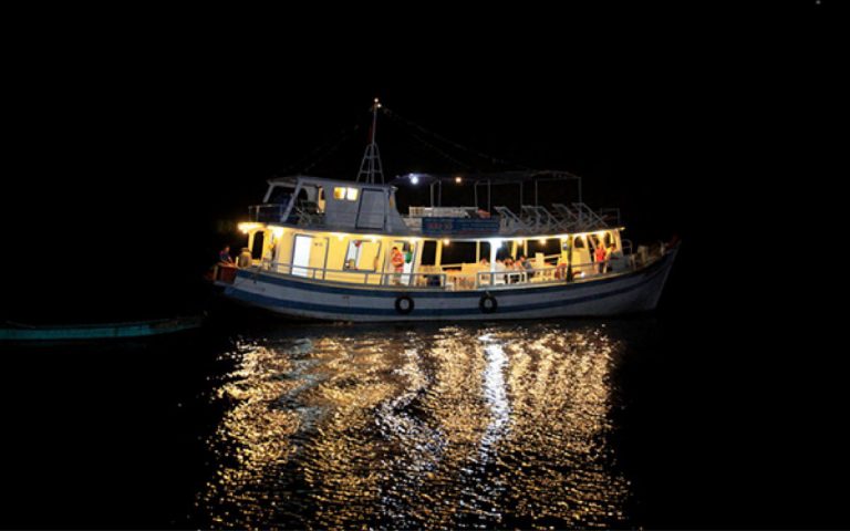 Câu Mực Đêm Biển Nhật Lệ Cùng Ngư Dân 1 ngày