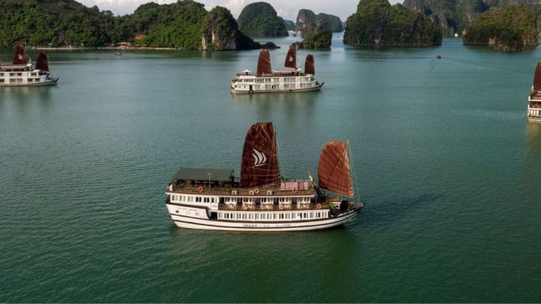 Du thuyền Pelican Classic Hạ Long Cruises 2N1D